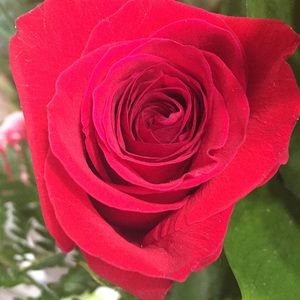 Meet your Posher, Katherine